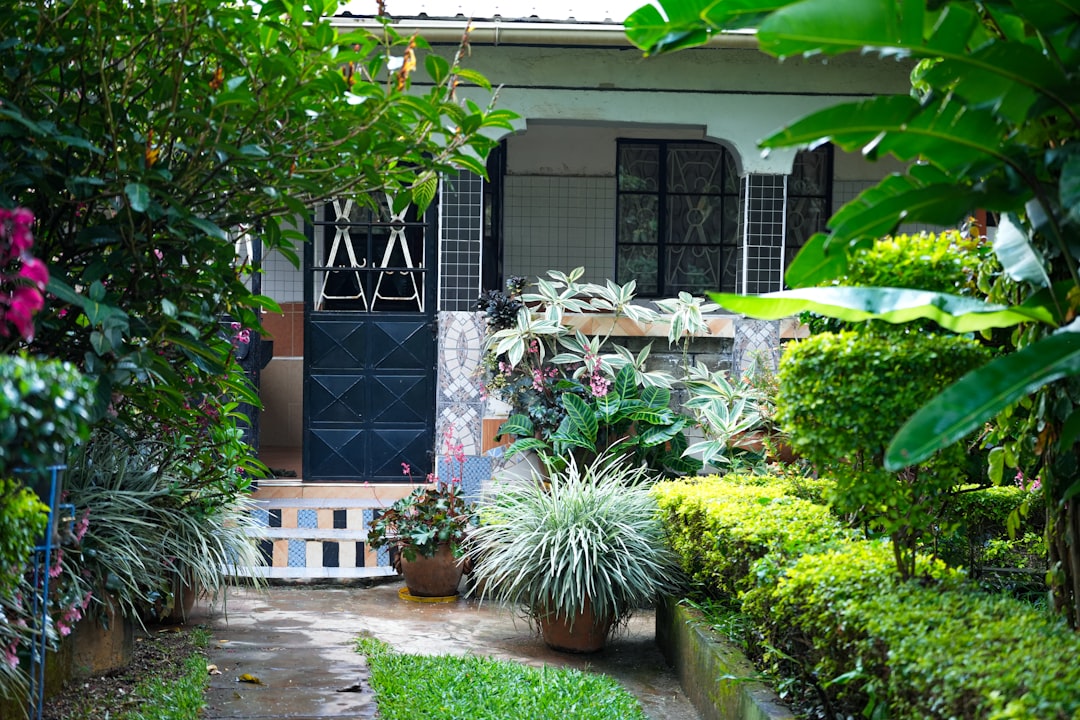 Home Exterior and Garden Renovation services by Decorate Home Space